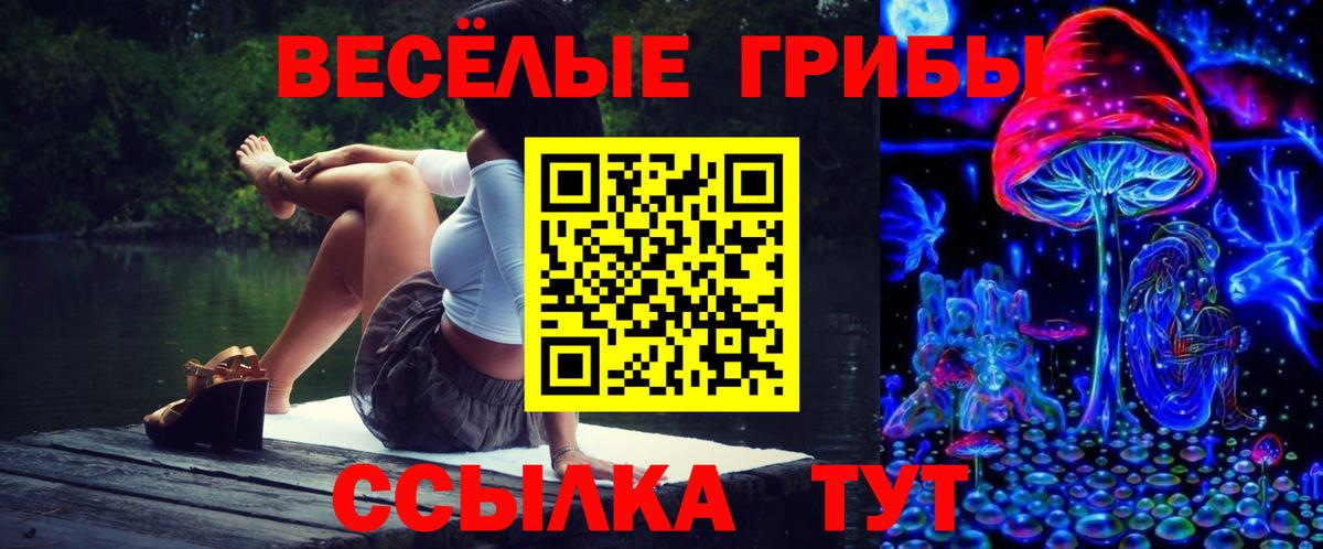 Аксай  Галлюциногенные грибы Magic Shrooms  Вход с VPN  Галлюциногенные грибы мицелий 