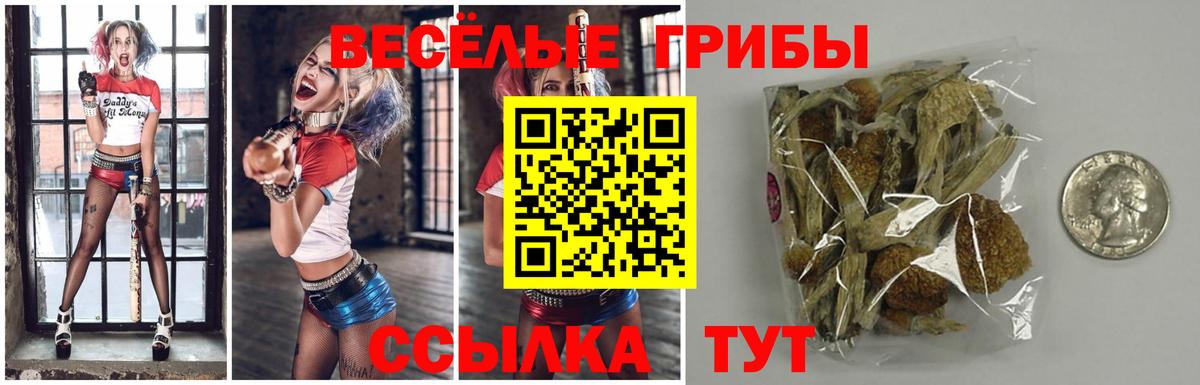 Псилоцибиновые грибы Cubensis Аксай
